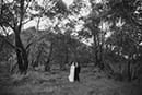 bride and groom in the middle of the forest- Waikanae Wedding