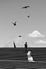 bride and groom walking the stairs as the birds fly- New Zealand Elopements